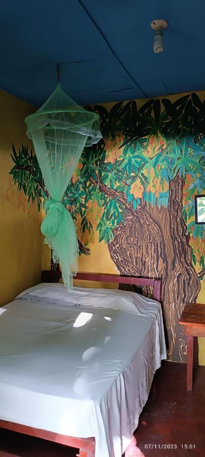 Hostel La Gloria Ometepe 外观 照片
