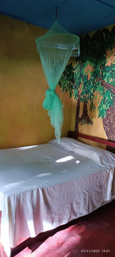 Hostel La Gloria Ometepe 外观 照片