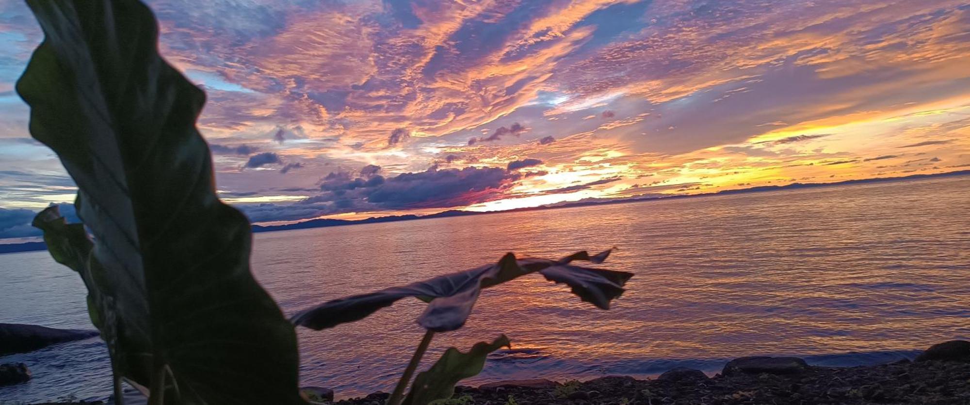 Hostel La Gloria Ometepe 外观 照片