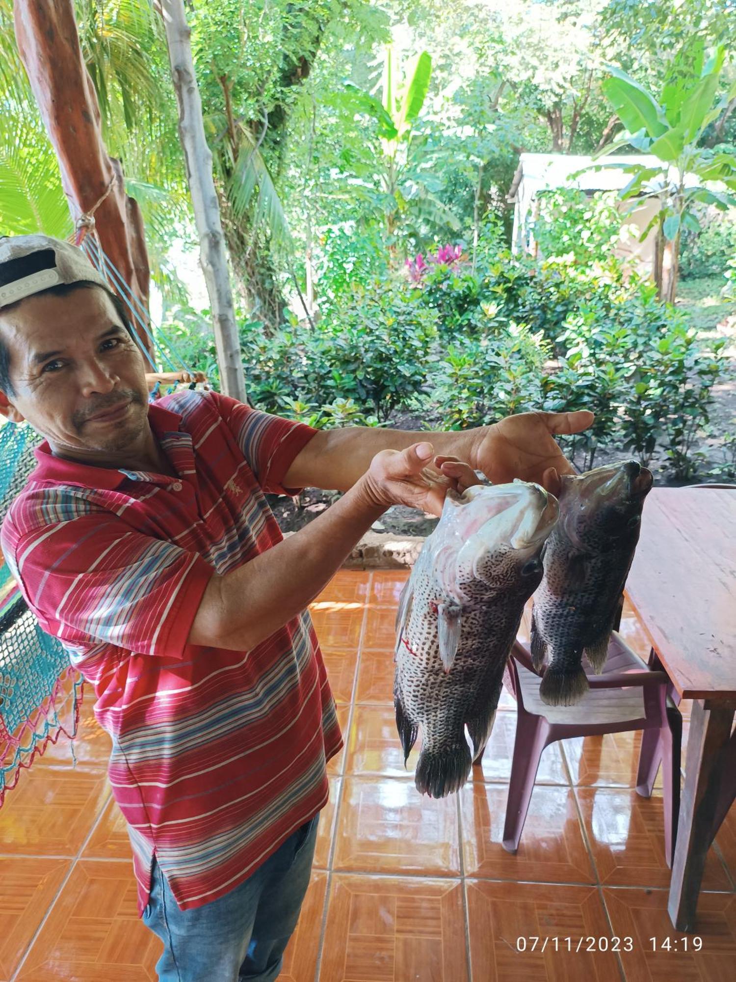 Hostel La Gloria Ometepe 外观 照片