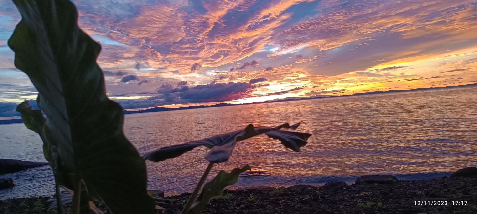 Hostel La Gloria Ometepe 外观 照片