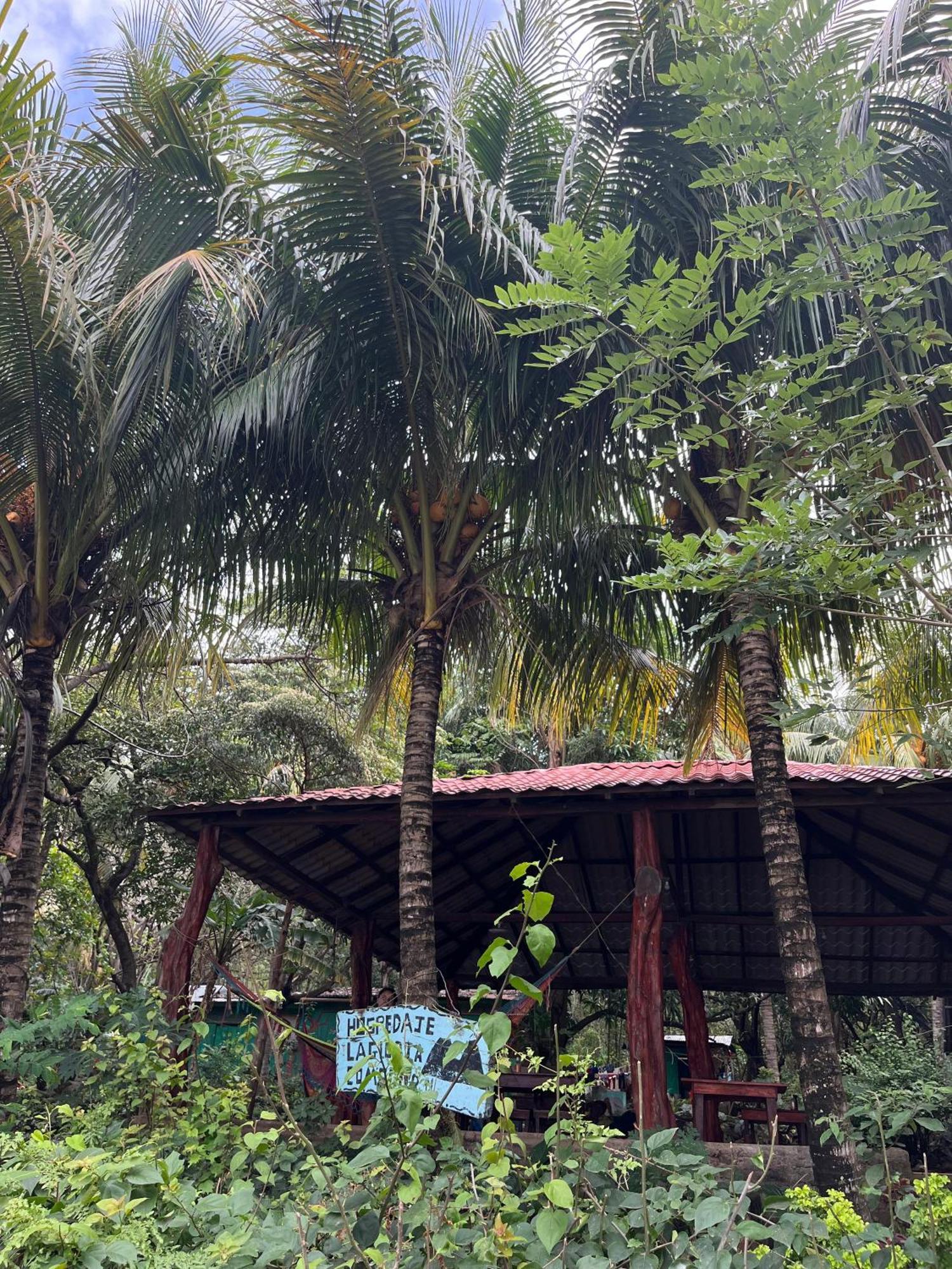 Hostel La Gloria Ometepe 外观 照片
