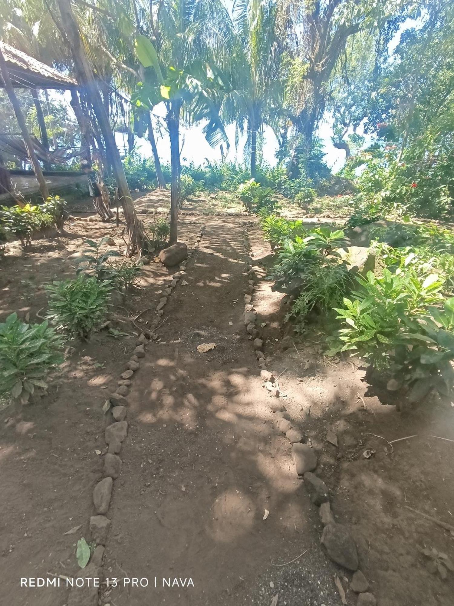 Hostel La Gloria Ometepe 外观 照片